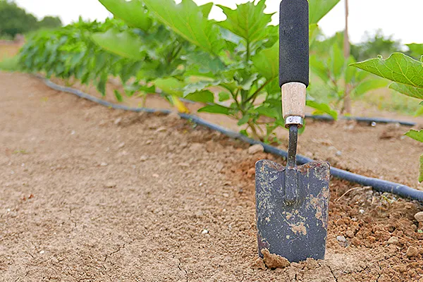 Trabajo en la huerta de la Granja Escuela